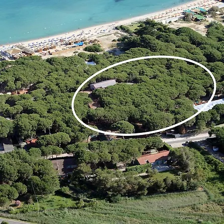 Отель Nettuno